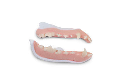 Maxilla & Mandible Refill