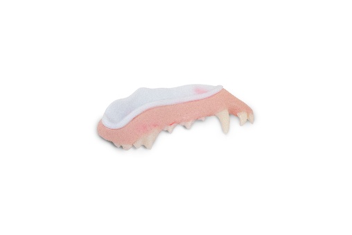 Maxilla Refill